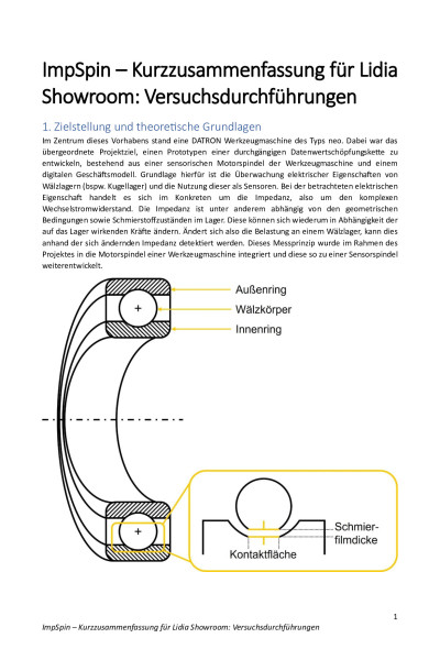 ImpSpin – Versuchsdurchführungen