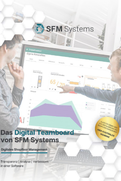 SFM Systems Broschüre